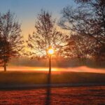 nature wallpaper