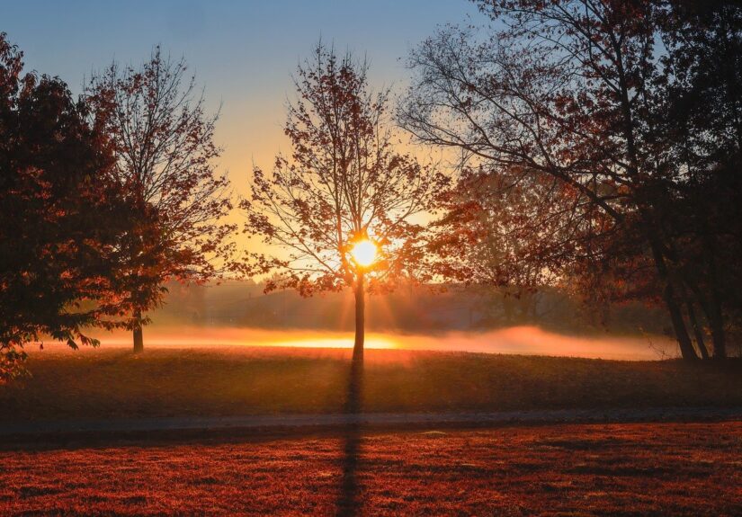 nature wallpaper